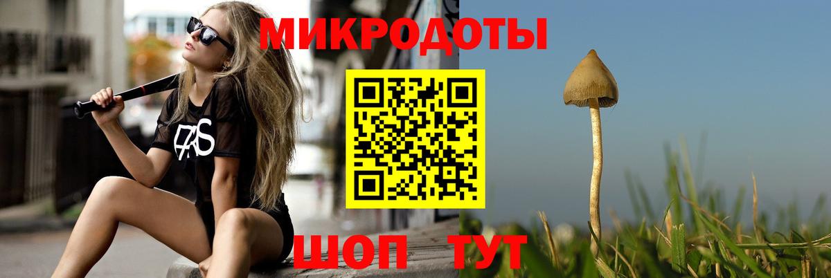 Галлюциногенные грибы прущие грибы  Вход с VPN  Галлюциногенные грибы мицелий  Орёл 